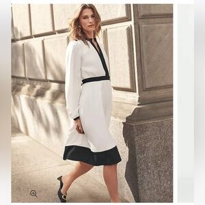 NWT Ann Taylor Colorblock Flare Dress